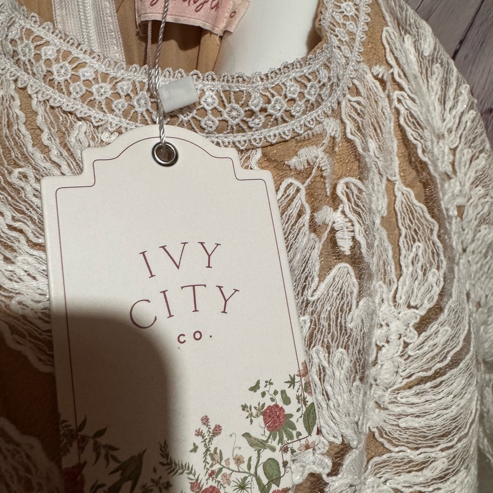 Ivy City Co Cream Floral Lace Dress XS - 0 - Picture 13 of 13